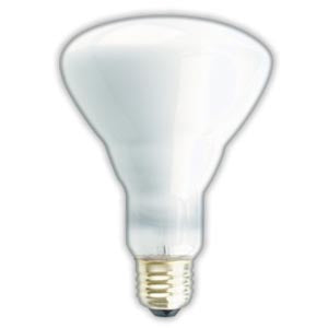 BR30 Incandescent Reflector Bulbs
