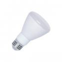 R20 LED Bulbs