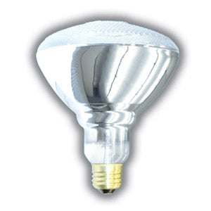 BR38 Incandescent Reflector Bulbs