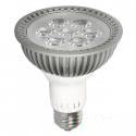 PAR30 LED Bulbs