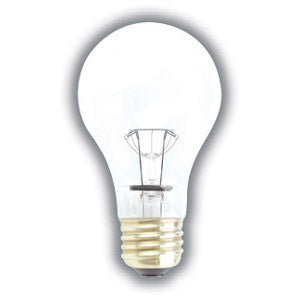 Long Life A19 Incandescent Light Bulbs