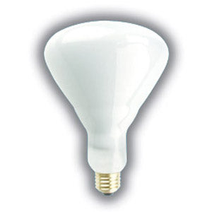 BR40 Incandescent Reflector Bulbs