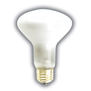 BR25 Incandescent Reflector Bulbs