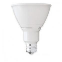 PAR30 Long Neck LED Bulbs