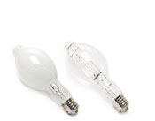 Metal Halide Light Bulbs