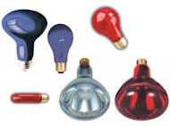 Pet Light Bulbs & Reptile Lamps